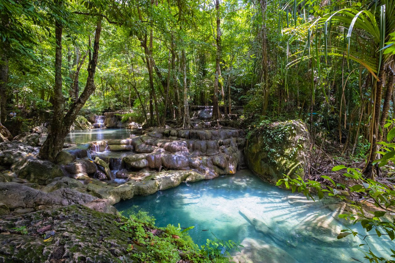 Turquoise jungle pool fed by low limestone waterfalls surrounded by dense tropical rainforest