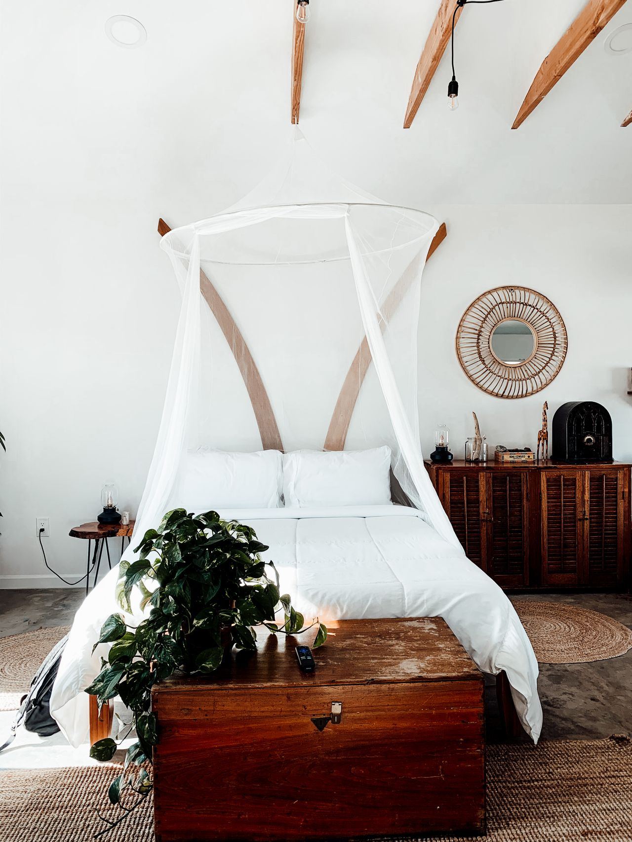 A white mosquito net canopy draped over a bed in a rustic bedroom with wood beams and a leafy pothos plant